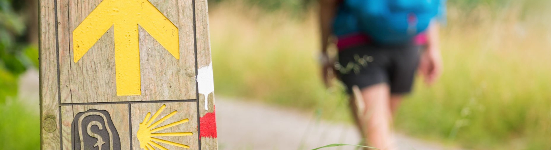 adrian_jakobsweg_banner